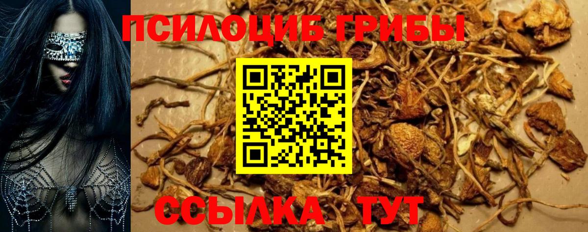 Галлюциногенные грибы Magic Shrooms Махачкала
