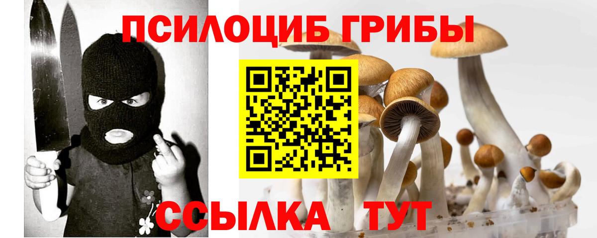 Галлюциногенные грибы Cubensis  Вход с VPN  Махачкала 